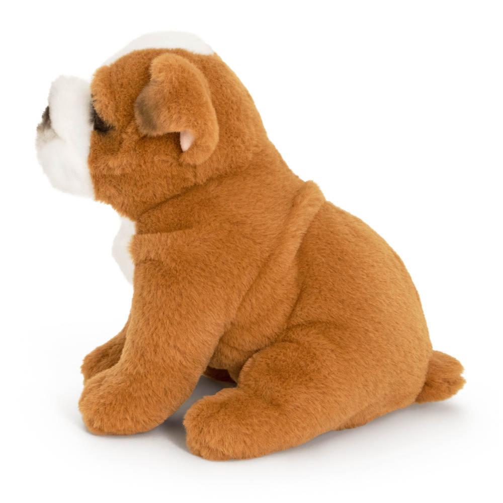 Living Nature bamse - Engelsk bulldog, 24 cm - Billede 4