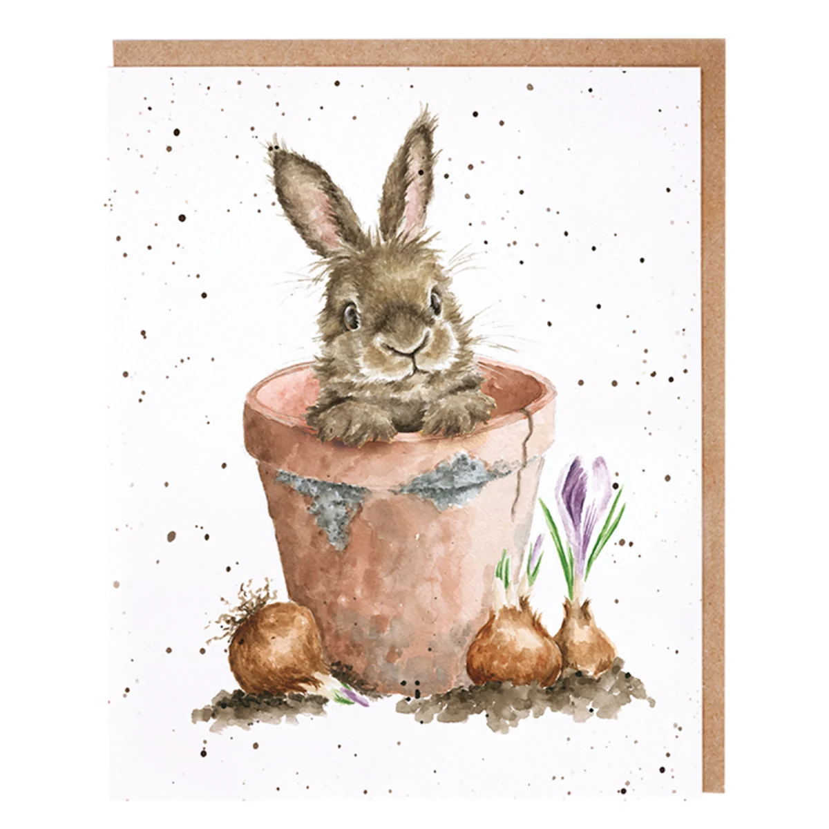 Lot de 8 cartes Wrendale - Le lapin et le pot de fleurs