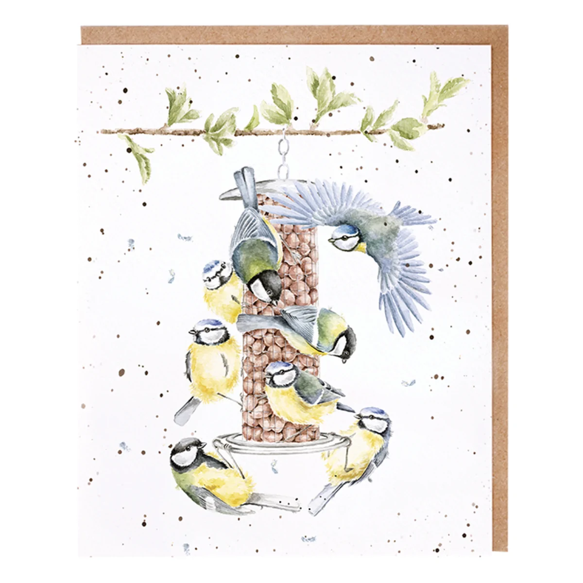 Lot de cartes Wrendale, 8 pièces - Oiseaux à la mangeoire