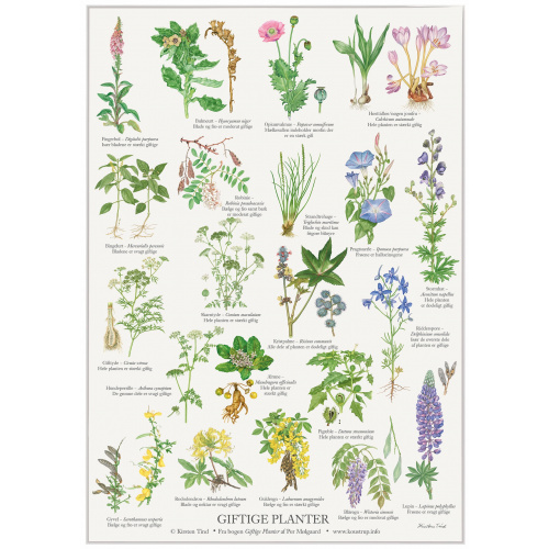 Koustrup poster - Poisonous plants, A2