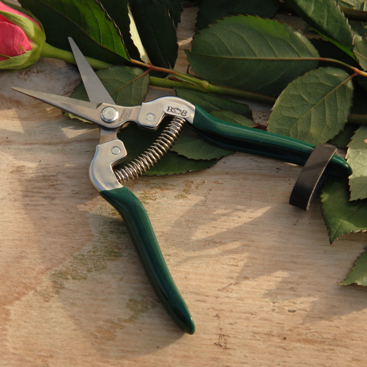 Burgon & Ball Blumen- und Obstschere