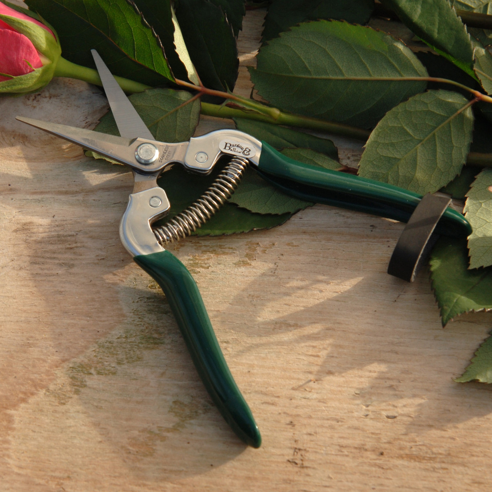 Burgon & Ball blomster og frugt saks