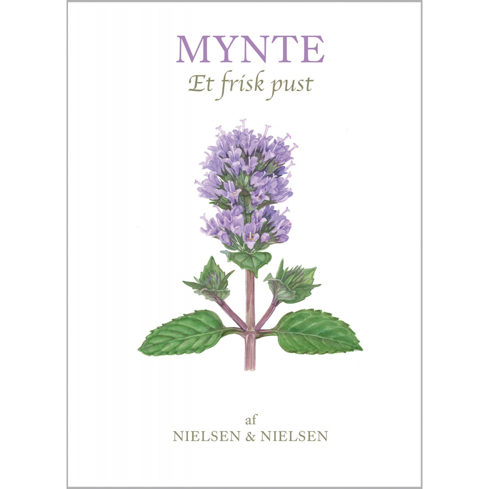 Koustrup's små hvide - Mynte