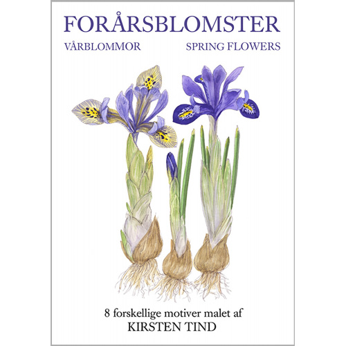 Koustrup & Co. kortmappe - forårsblomster