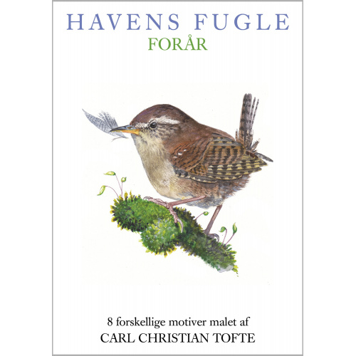 Koustrup & Co. kaartenmap - vogels, lente