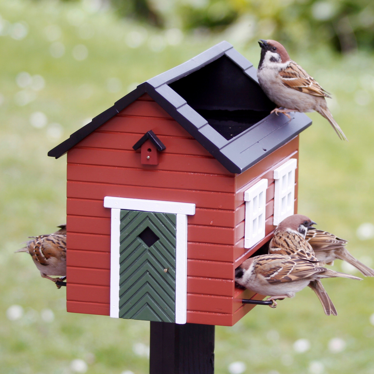 Wildlife Garden voederhuis met vogelbad - rood