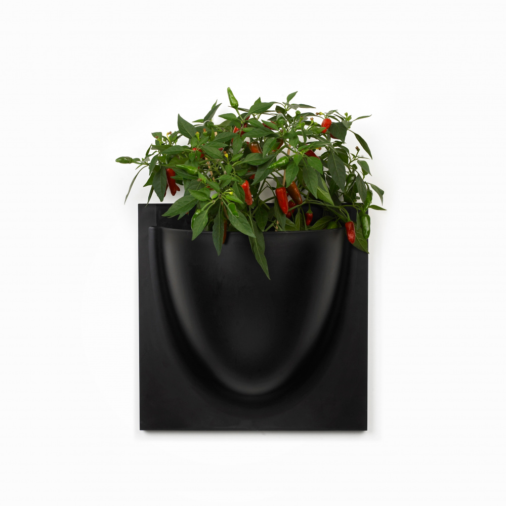 VertiPlants vægkrukke - sort - Billede 3