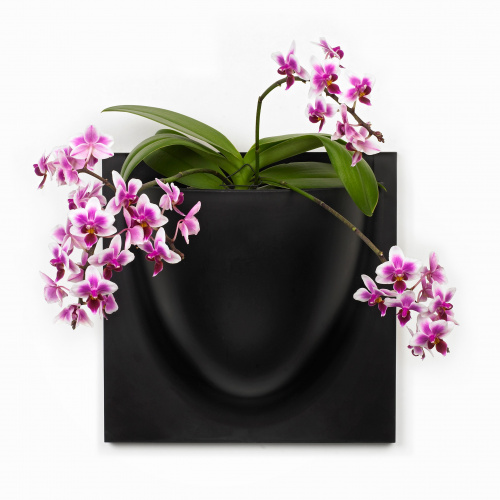 VertiPlants vægkrukke - sort