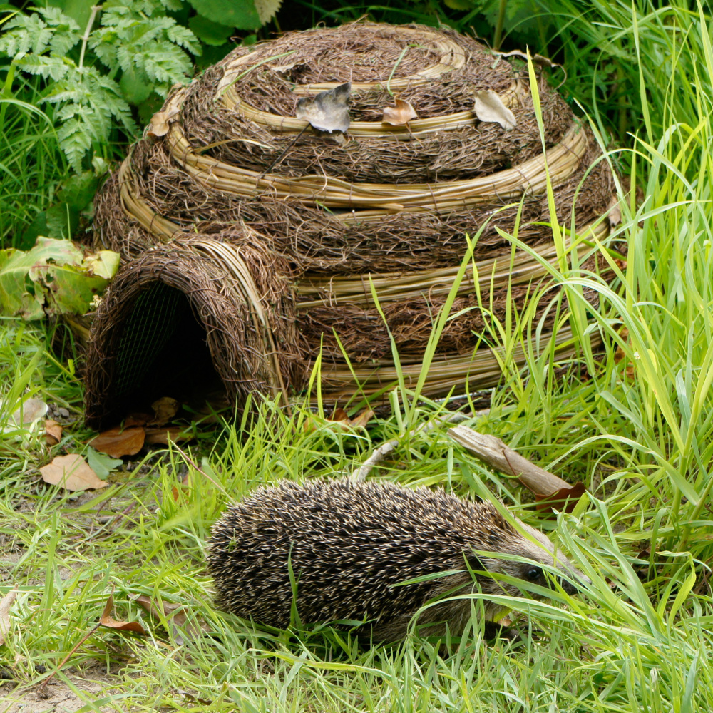 Wildlife World egelhuis van vlechtwerk - Afbeelding 2