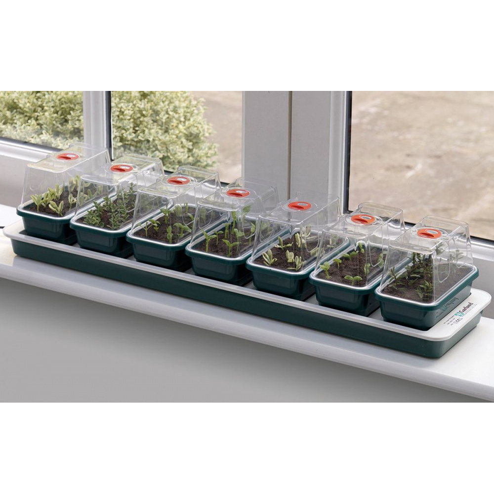 Garland Mini-Gewächshaus mit Heizung - 7 Schalen - Bild 2