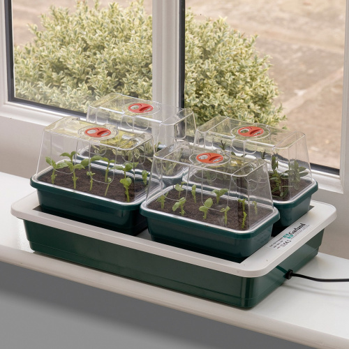Garland Mini-Gewächshaus mit Heizung - 4 Schalen