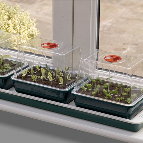 Garland Mini-Gewächshaus mit Heizung - 3 Schalen