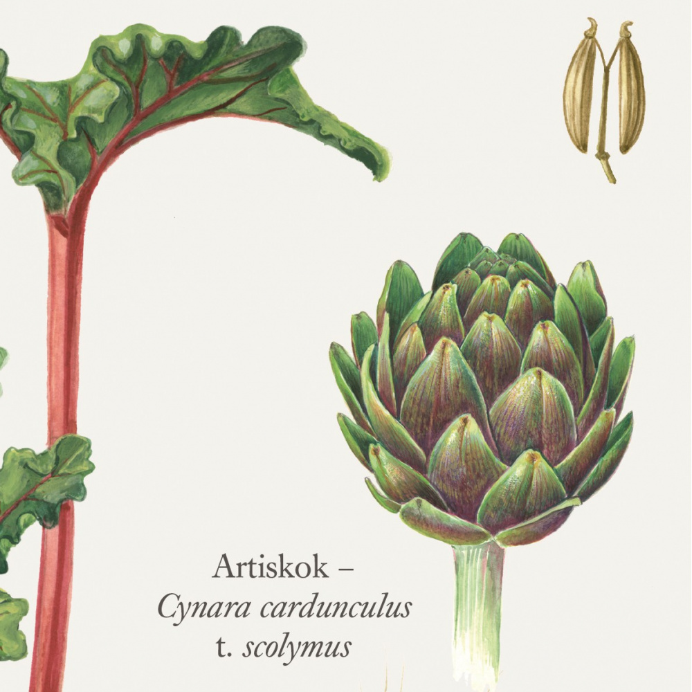 Koustrup poster - The Kitchen Garden, A2 - Image 3