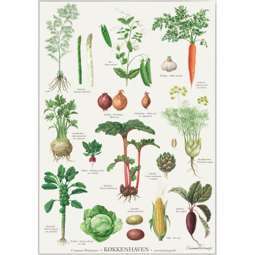 Koustrup Poster – Gemüsegarten, A2