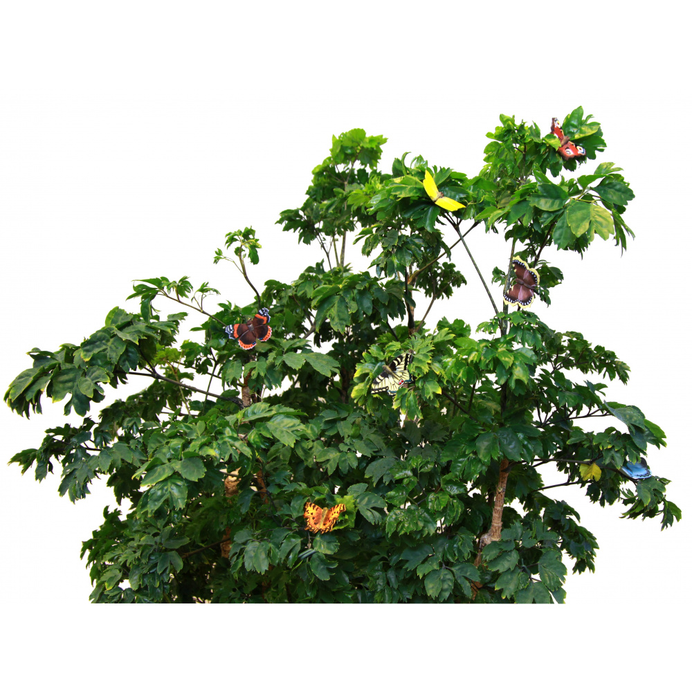 Wildlife Garden magneet - Dagpauwoog - Afbeelding 3