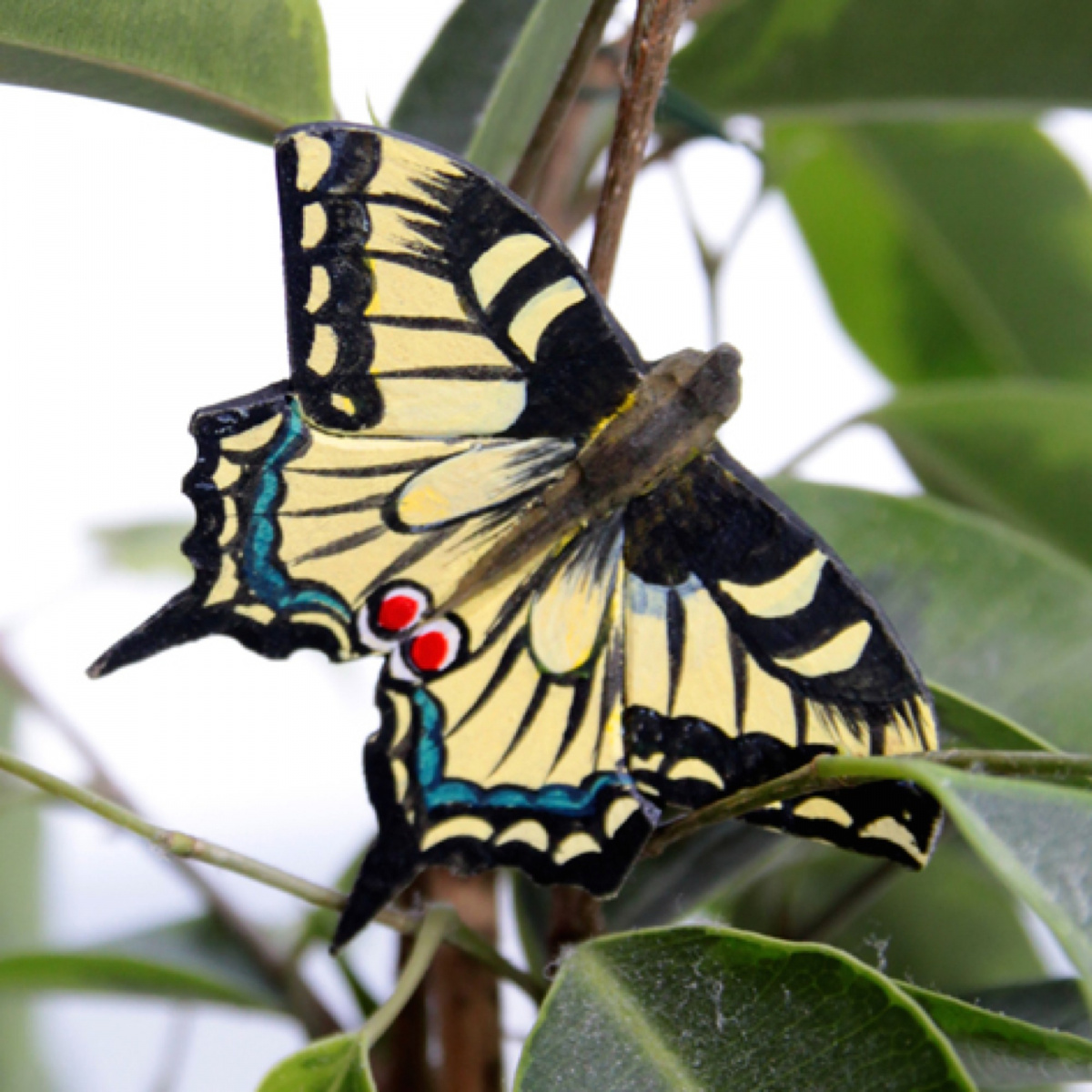 Wildlife Garden Magnet - Schwalbenschwanz
