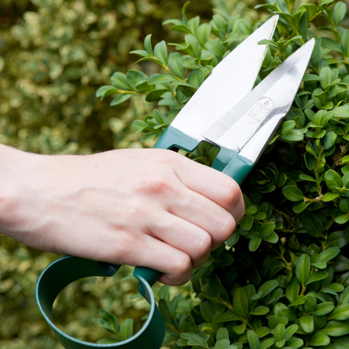 Burgon & Ball Buchsbaumschere