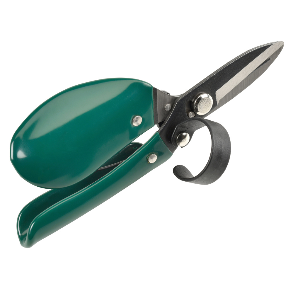 Ciseaux ergonomiques Burgon & Ball - Image 5