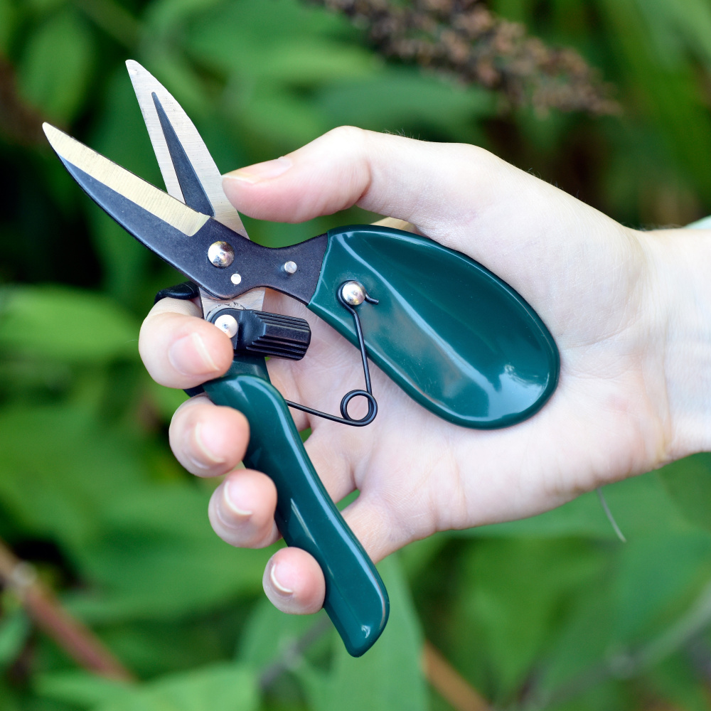 Ciseaux ergonomiques Burgon & Ball