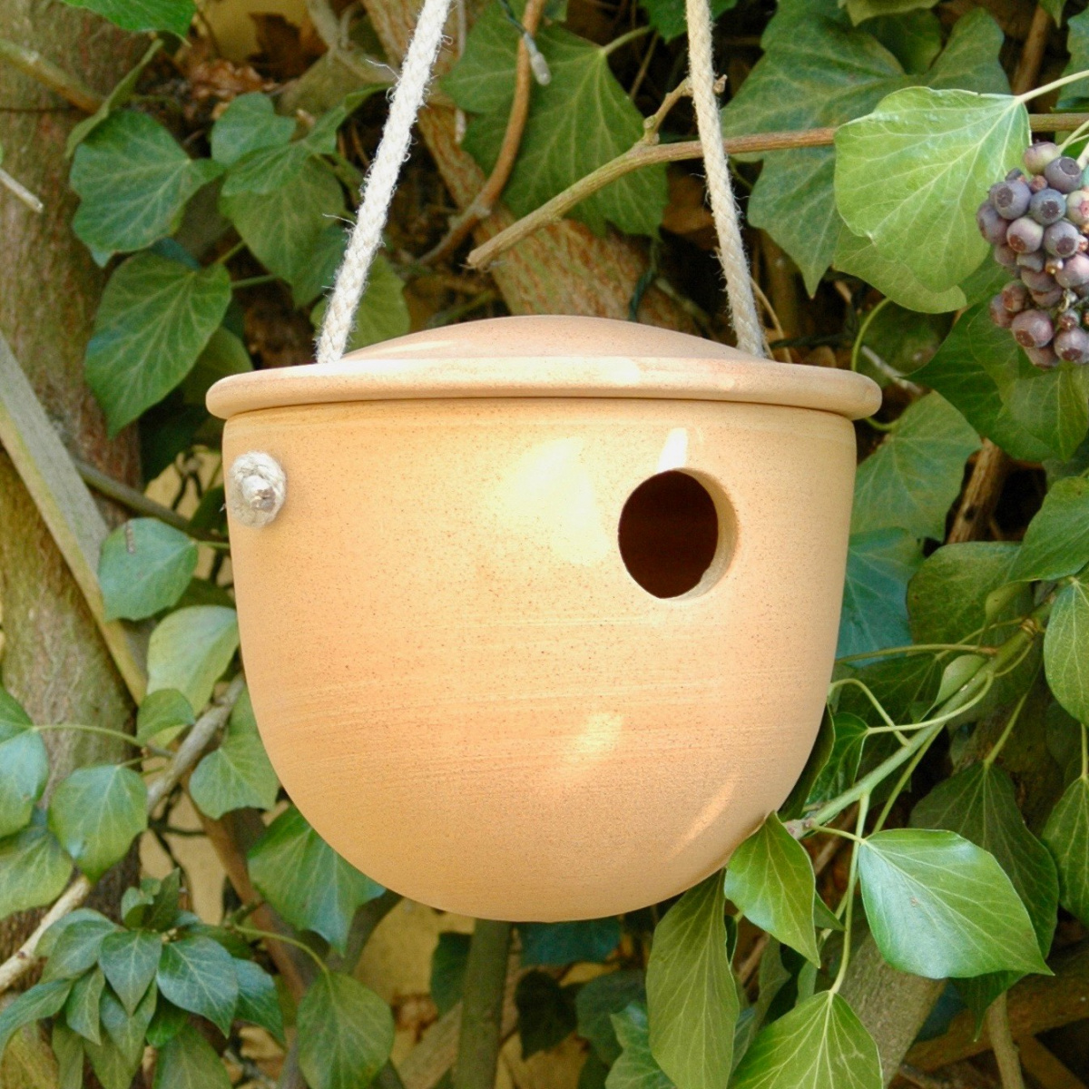 Denk Vogelhaus mit Seil