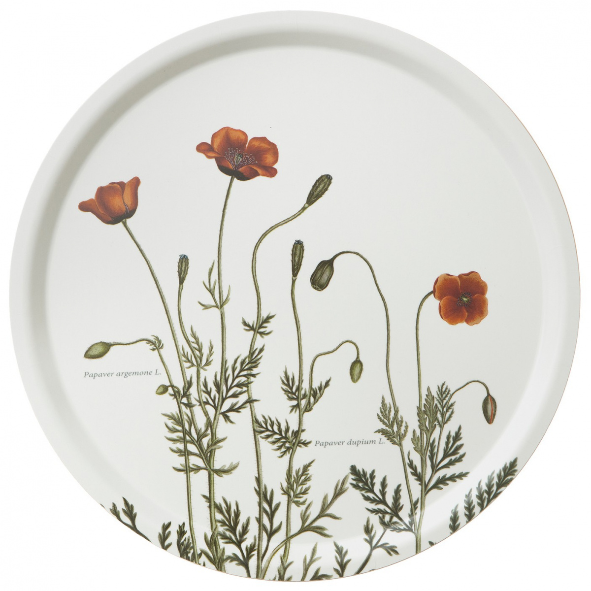 Koustrup & Co. Tablett, Ø38 - Sandmohn