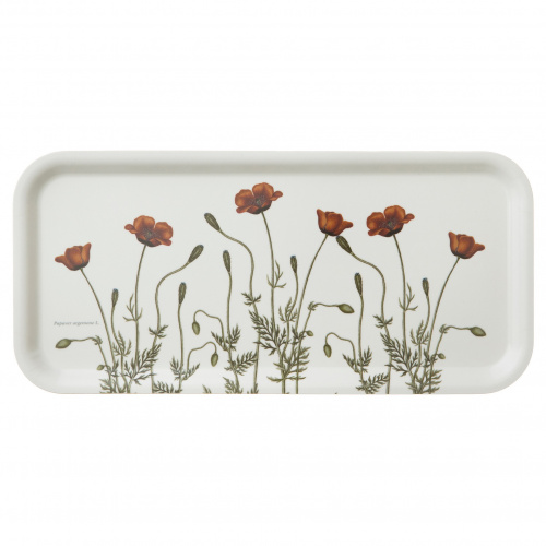 Koustrup & Co. tray, 32x15 - long pricklyhead poppy