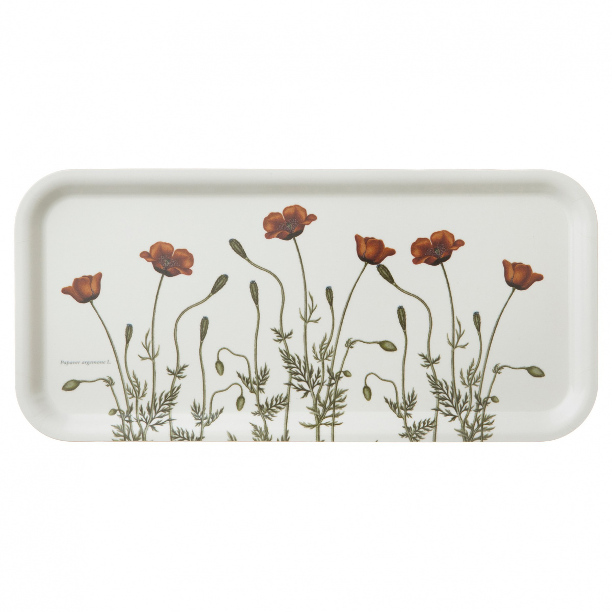 Koustrup & Co. Tablett, 32x15 - Sandmohn