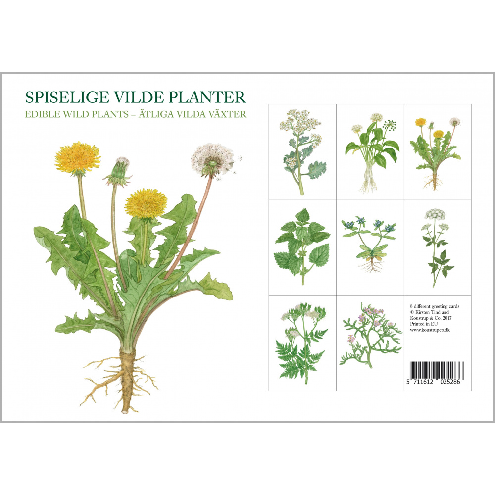 Koustrup & Co. kaartenmap - eetbare wilde planten - Afbeelding 3
