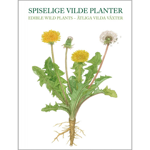 Koustrup & Co. card folder - edible wild plants