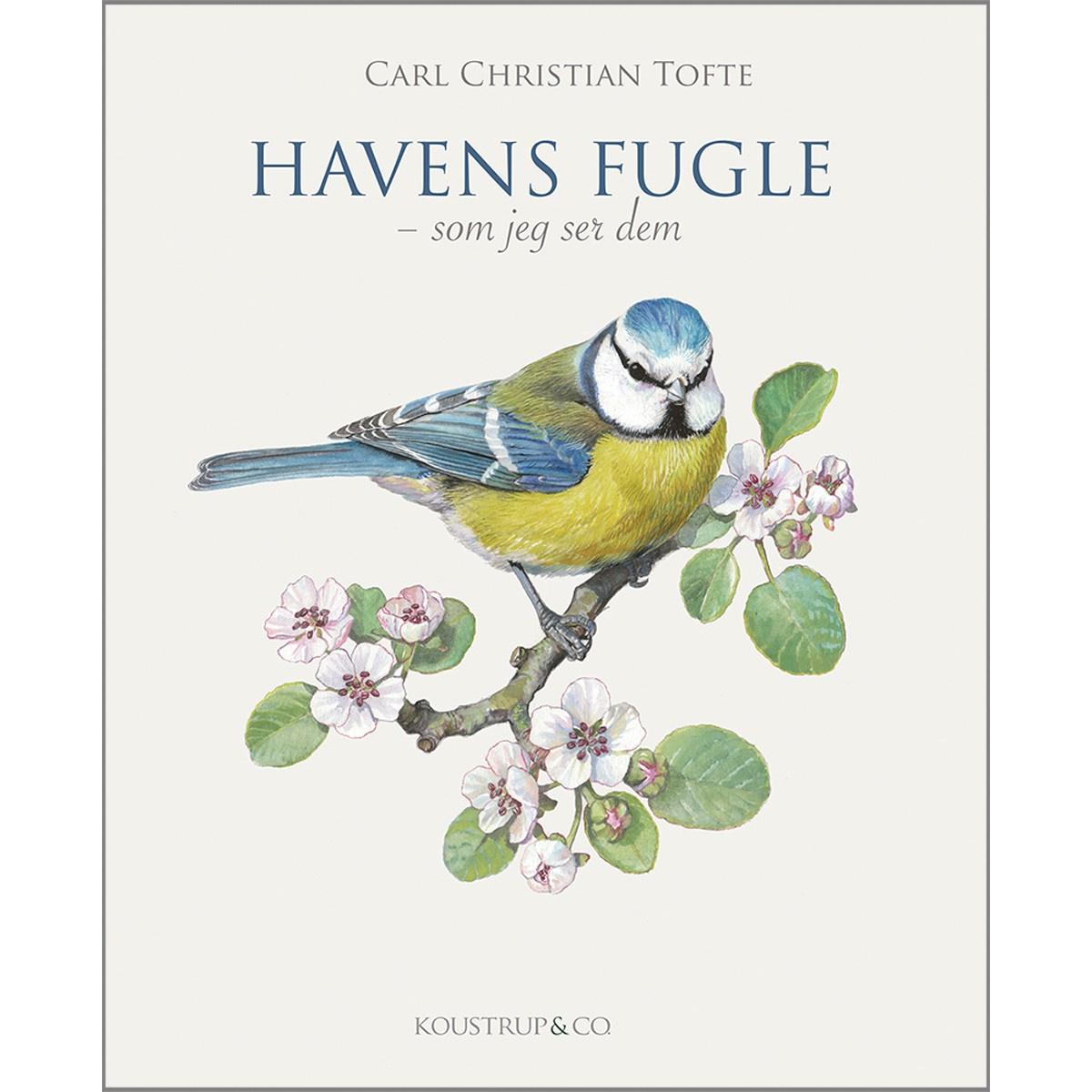 Gartenvögel - von Koustrup & Co.