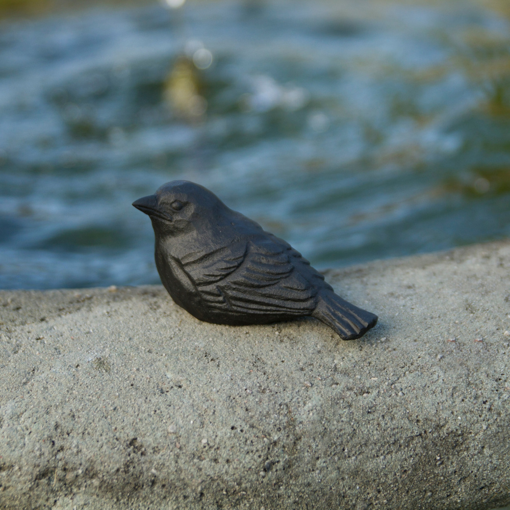 Oiseau en fonte Wildlife Garden - jeune moineau domestique - Image 2