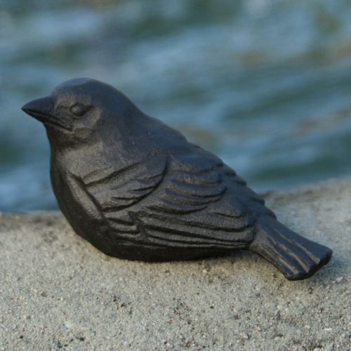 Oiseau en fonte Wildlife Garden - jeune moineau domestique