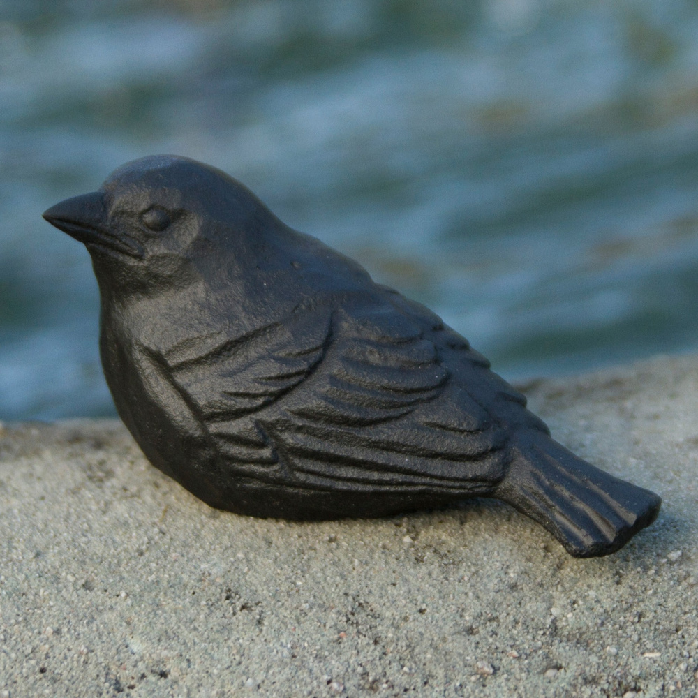 Oiseau en fonte Wildlife Garden - jeune moineau domestique