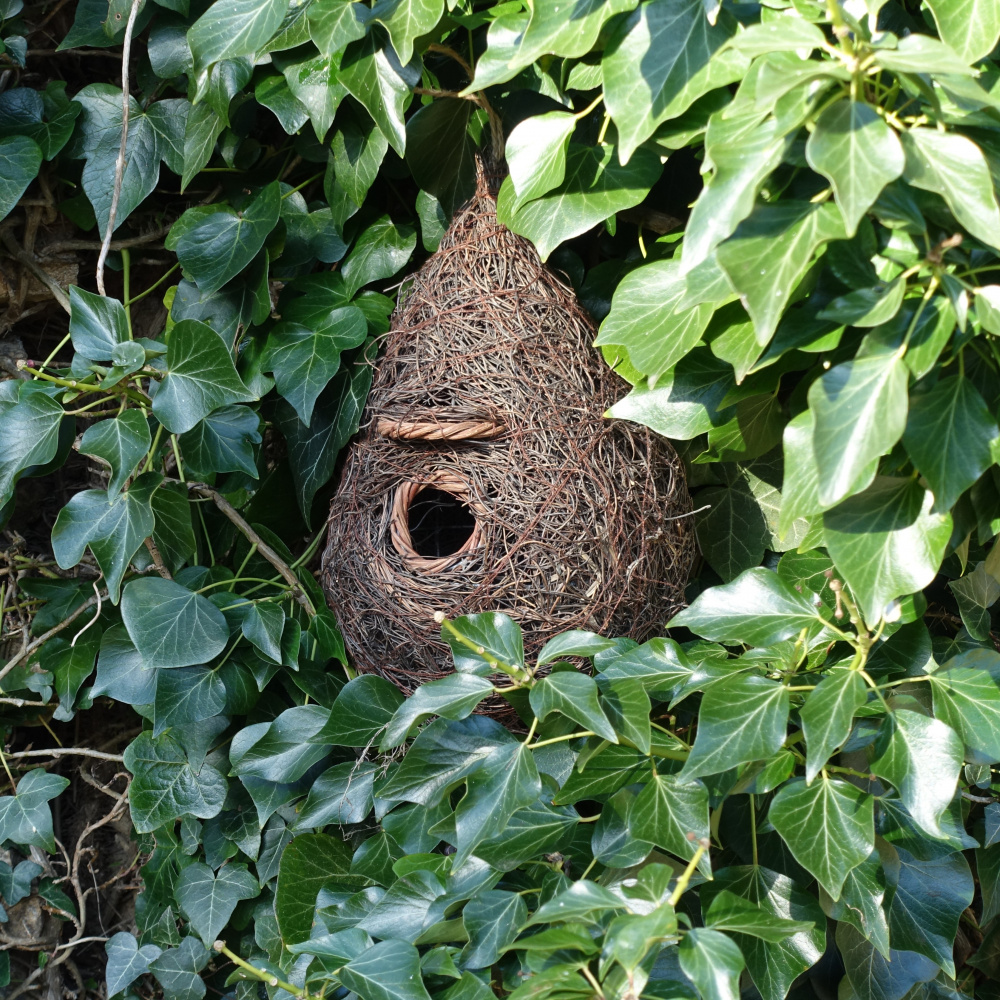 Wildlife World fuglehus i flet - Billede 2