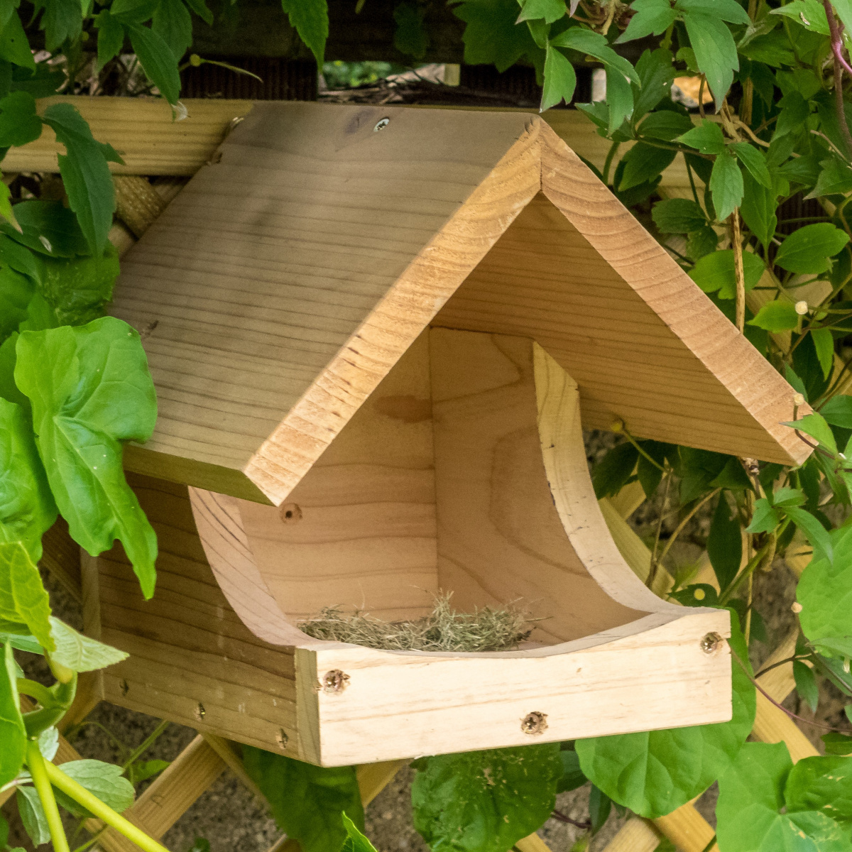Nichoir Wildlife World pour merle noir