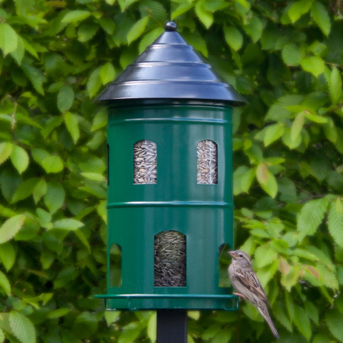 Wildlife Garden Riesen-Futterautomat - grün