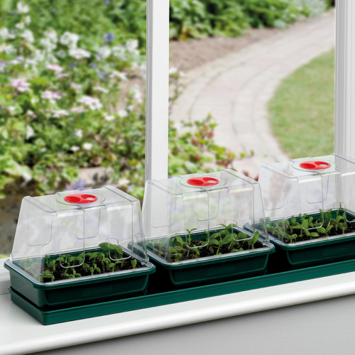 Garland Mini-Gewächshaus mit Selbstbewässerung – 3 Schalen