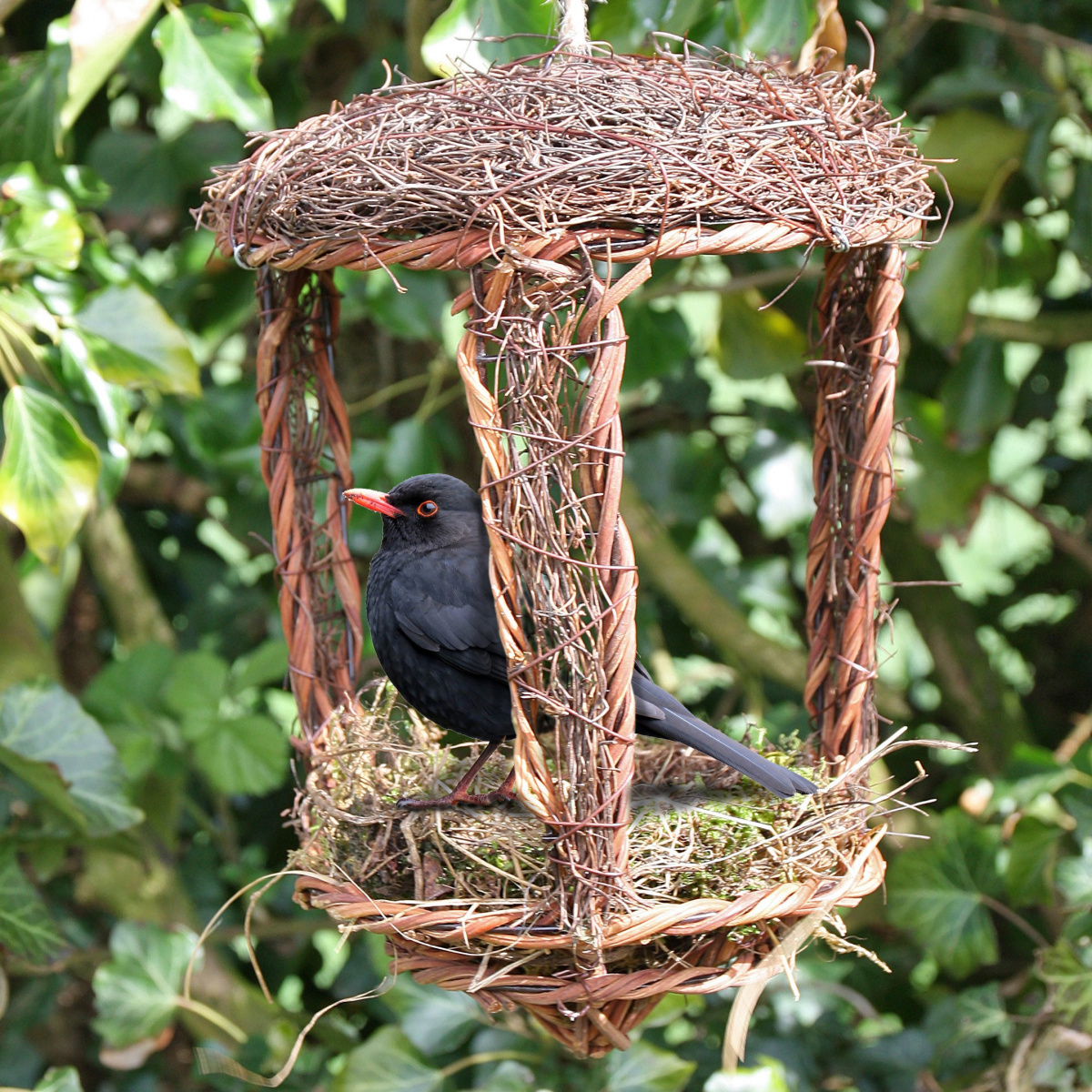 Wildlife World nid d’oiseau ouvert en osier