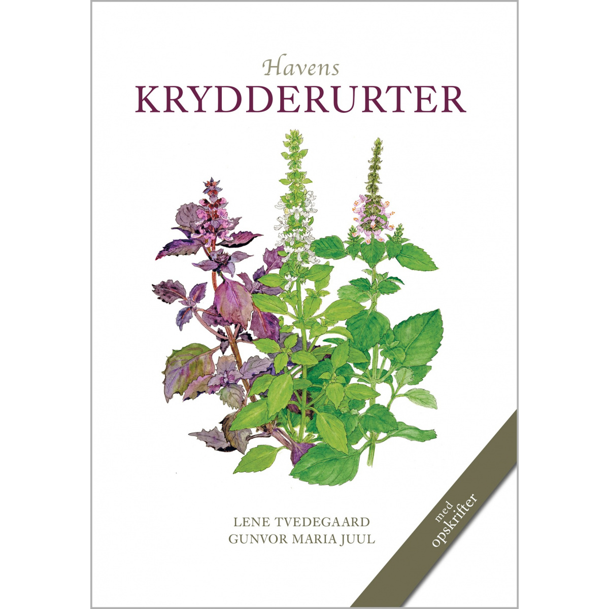 Koustrup's små hvide - Havens krydderurter