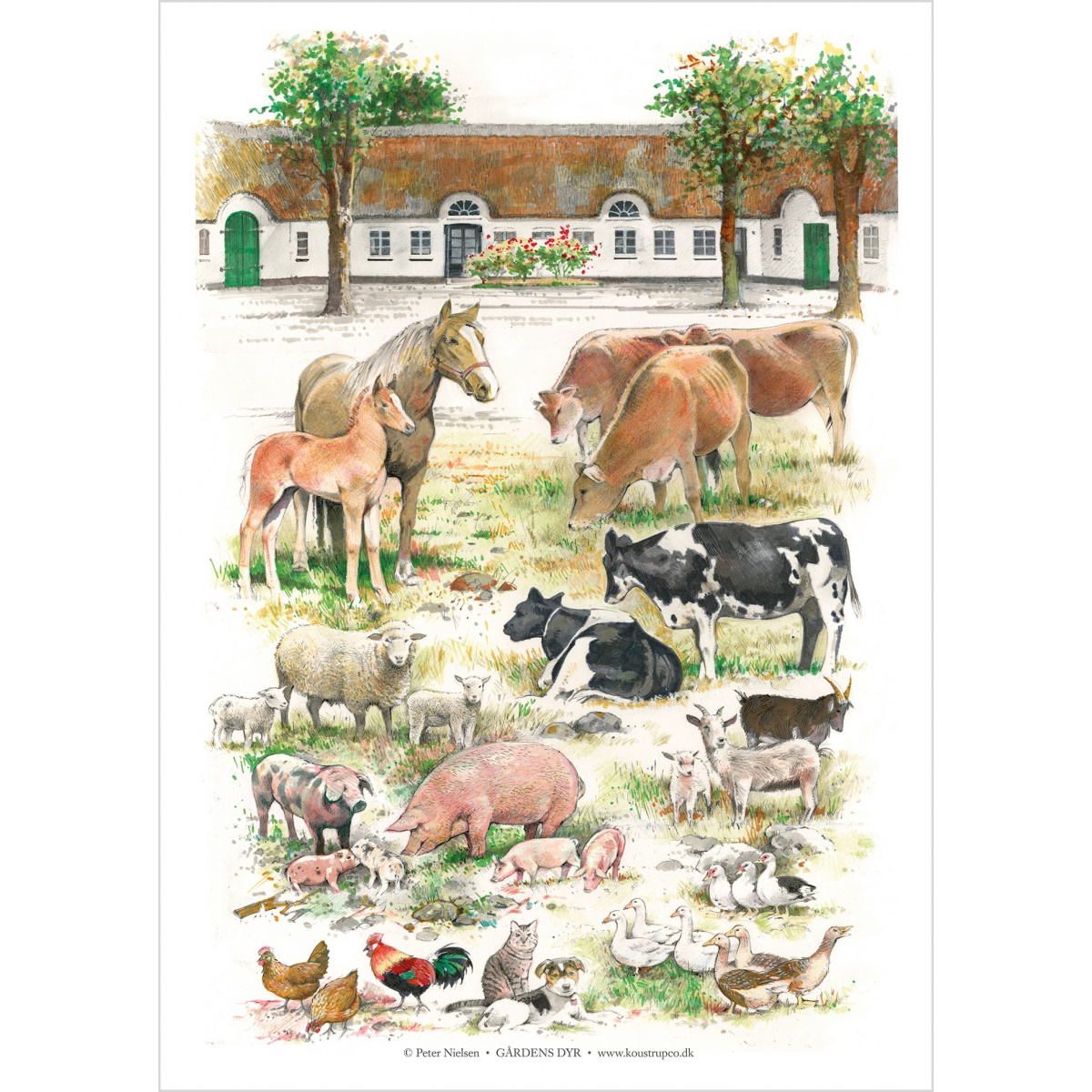 Koustrup Poster - Bauernhoftiere, A2