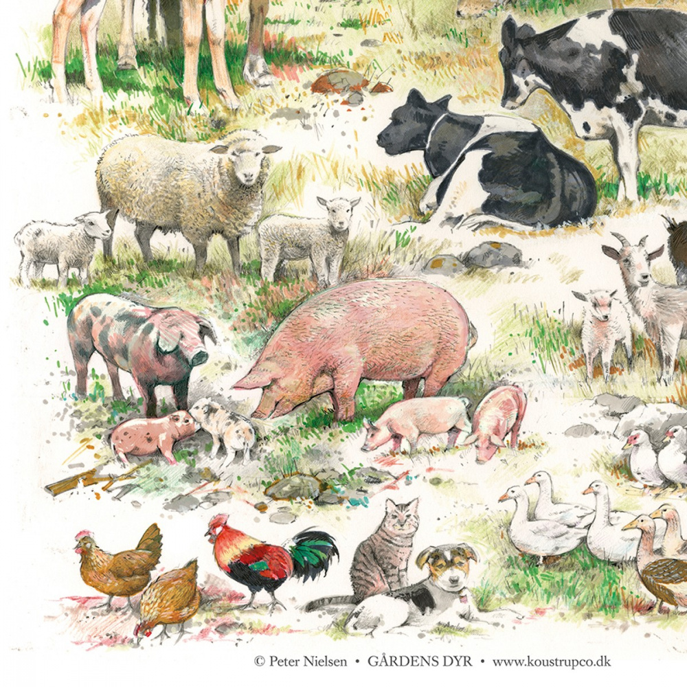 Koustrup poster - Farm animals, A2 - Image 2