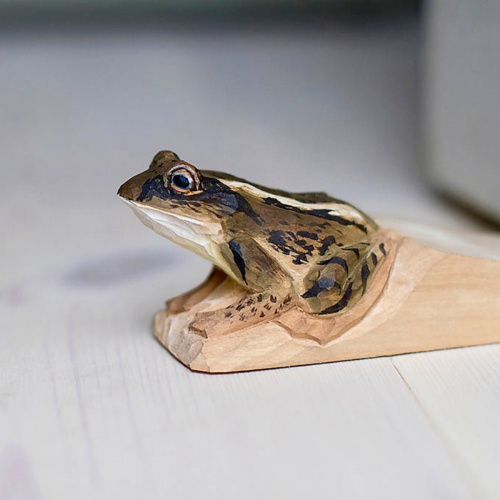 Cale-porte Wildlife Garden - grenouille