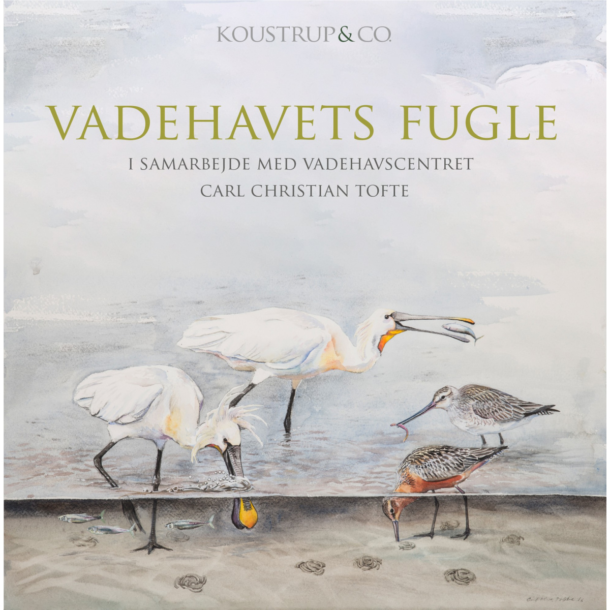 Koustrup & Co. Kartenmappe - Vögel des Wattenmeers