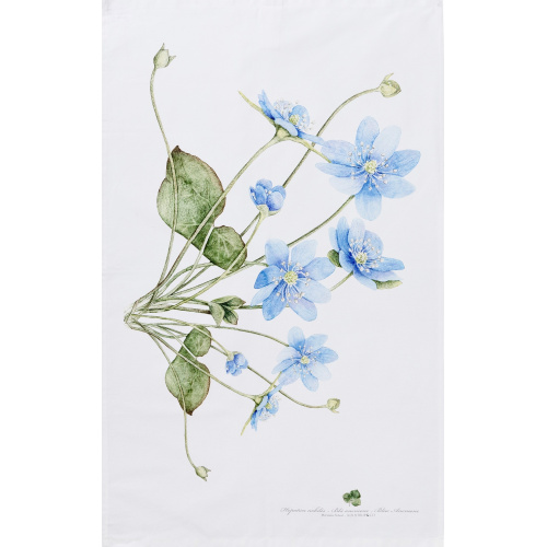 Koustrup & Co. biologische theedoek - blauwe anemoon