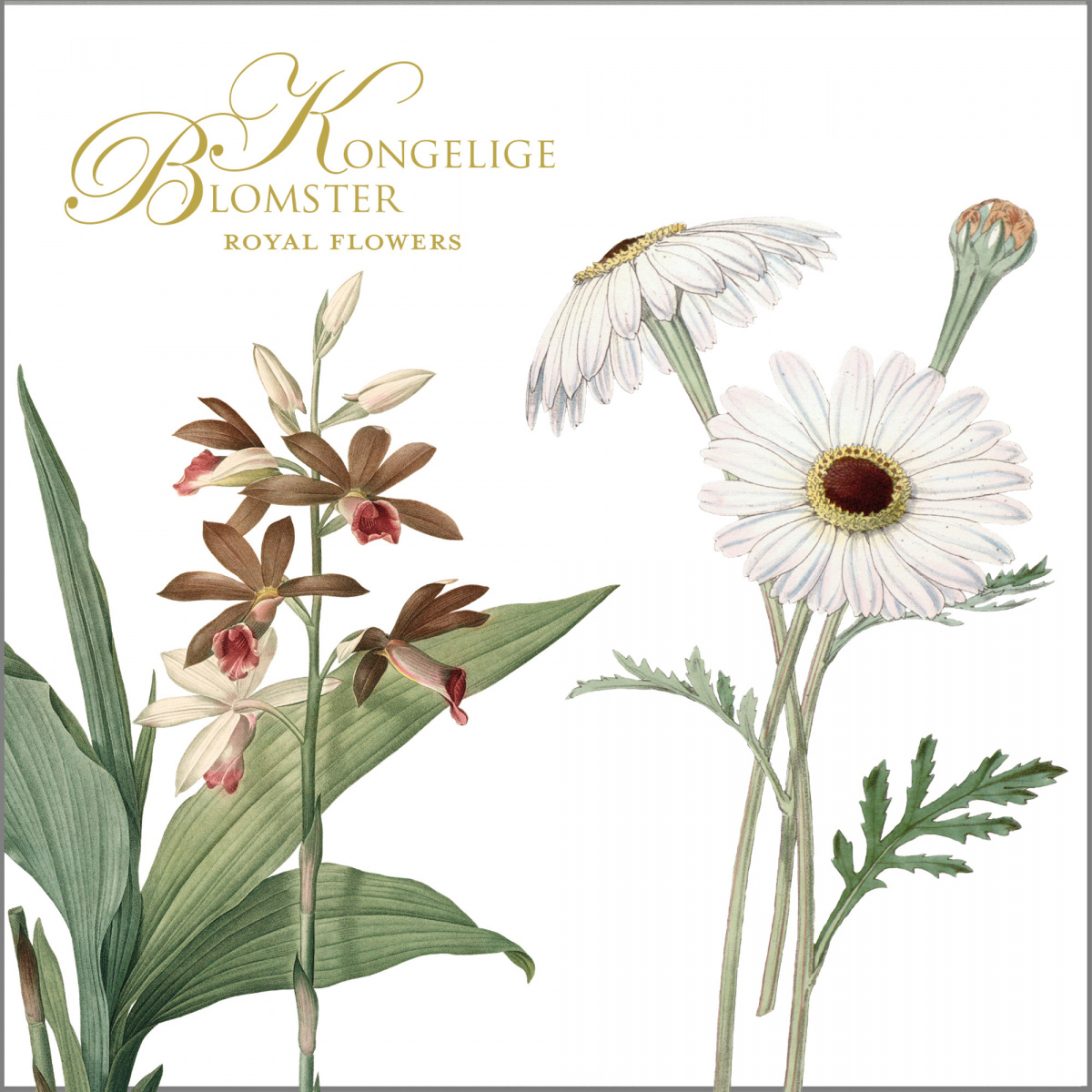 Koustrup & Co. kortmappe - kongelige blomster