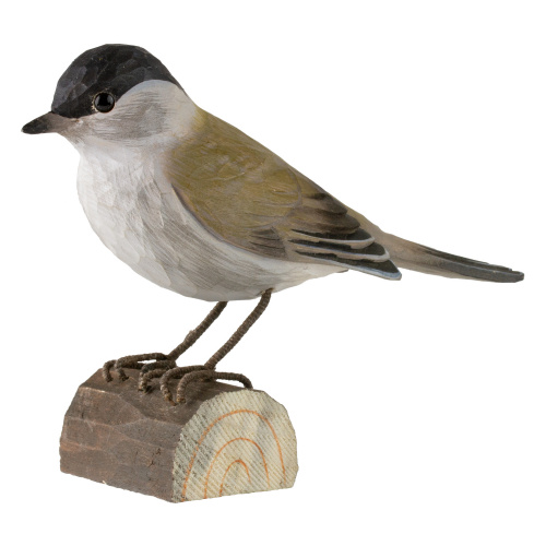 Wildlife Garden träfågel – svarthätta
