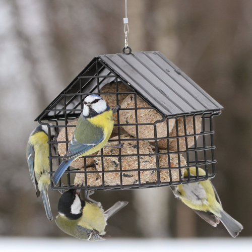 Maison Wildlife Garden pour boules de graisse - noire