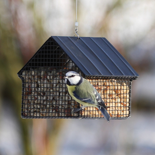 Maison Wildlife Garden pour cacahuètes - noire