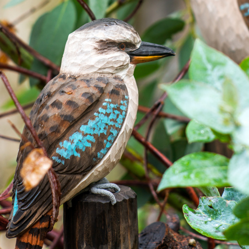 Wildlife Garden träfågel - skrattkokaburra