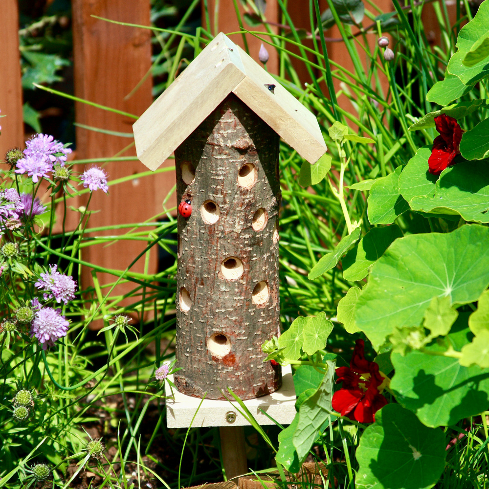 Wildlife World lieveheersbeestjeshotel - Afbeelding 3